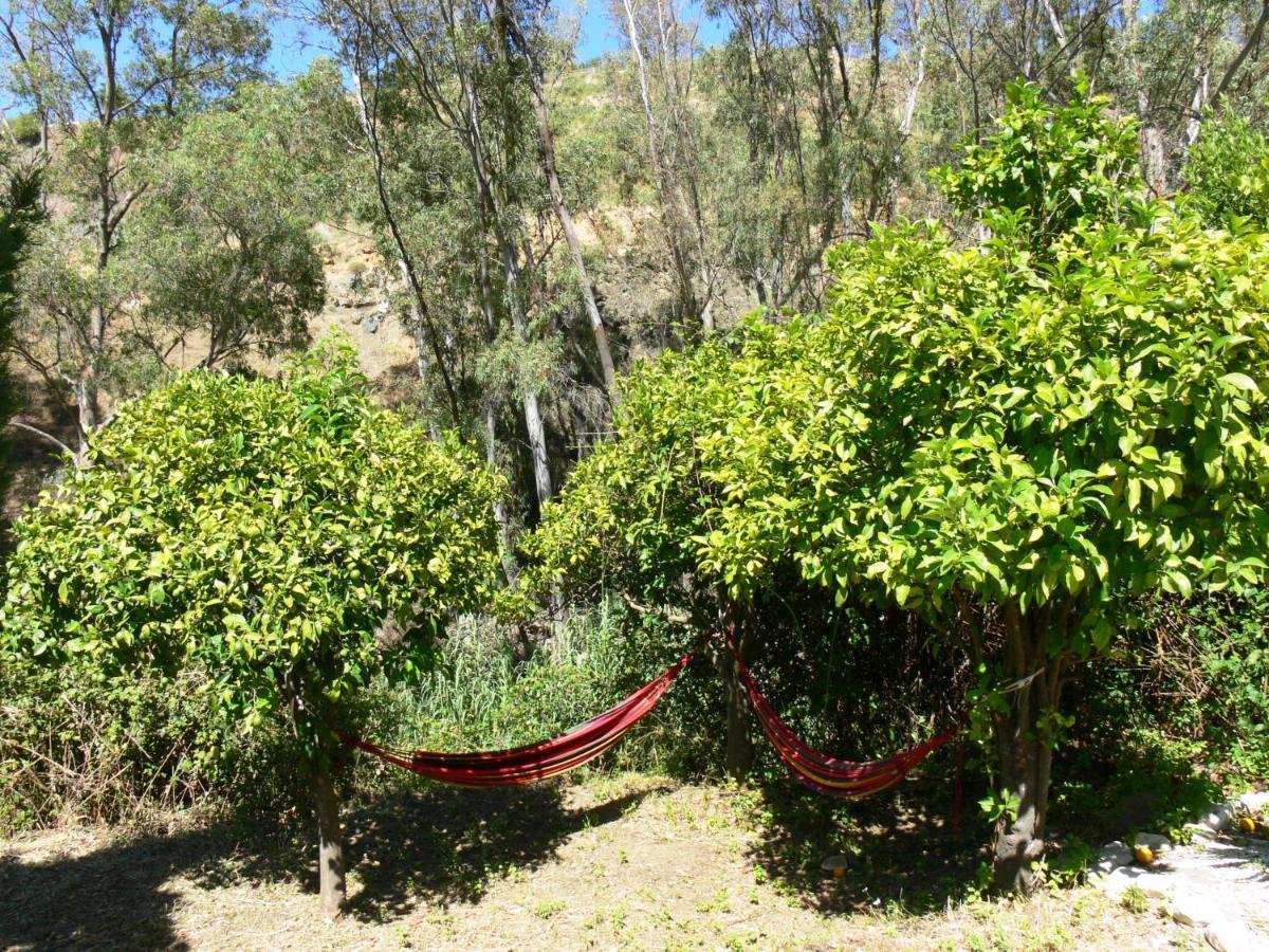 Vegan Guesthouse Finca Pereila Coín Exterior foto